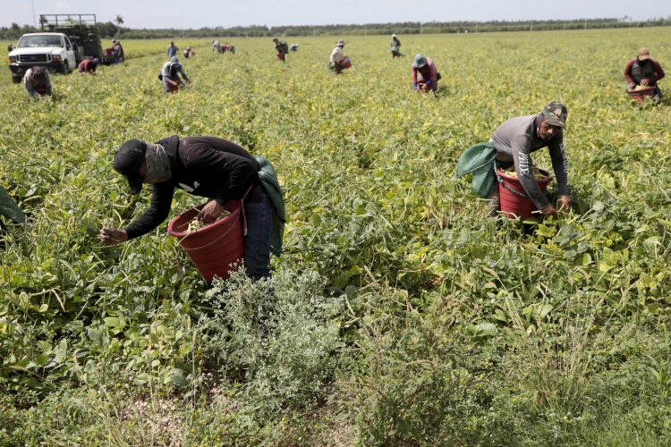 Clinics wait to vaccinate farmworkers
